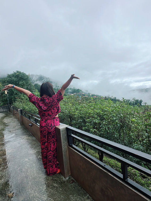 เที่ยวดอยแม่สองเชียงรายกันคะ