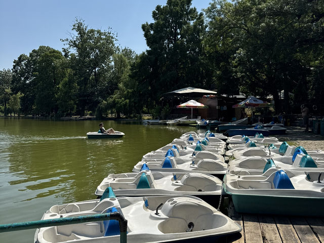 CHISMIGIU GARDEN – BUCHAREST’S TIMELESS GREEN ESCAPE 🌿🌼 