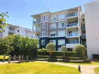 🤍Dreamy Gem Of Sydney🤍