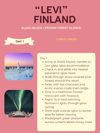 凍った森の夢🌲 レヴィ、フィンランド 🇫🇮