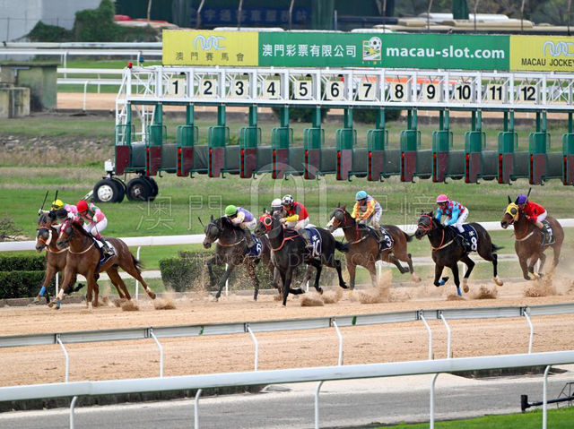 🏇🎬再見了澳門賽馬會!搭輕軌路過這幕,滿滿的時代眼淚!🎬🏇 🏇🎬再見了澳門賽馬會!搭輕軌路過這幕,滿滿的時代眼淚!🎬🏇