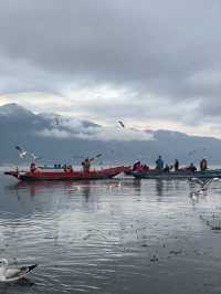 瀘沽湖晨霧|霧裡的湖光與水性楊花