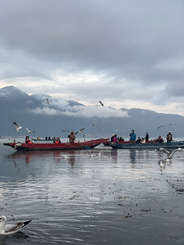 瀘沽湖晨霧|霧裡的湖光與水性楊花 瀘沽湖晨霧|霧裡的湖光與水性楊花