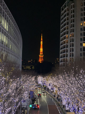 🎄日本東京｜六本木聖誕點燈 冬天限定的浪漫光之道