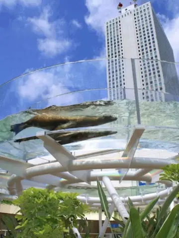 池袋必去景點🐠🐧🐬陽光水族館