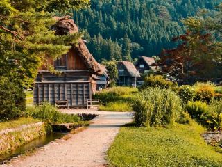 白川郷の7月：合掌村の緑豊かな夏