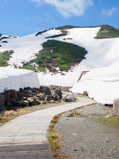 立山 – 6月でも雪が楽しめる、知る人ぞ知る日本の夏の穴場スポット