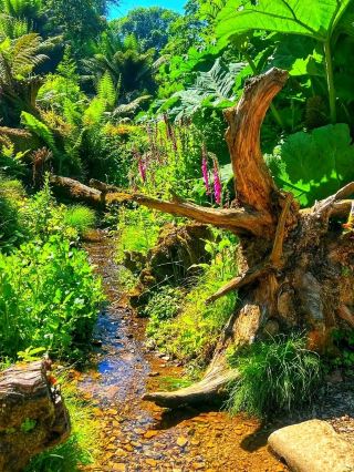 The Lost Gardens of Heligan: Cornwall's Hidden Green Paradise