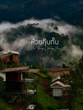 🌿 หนีความวุ่นวาย...ไปนอน "ห้วยกุ๊บกั๊บ" อ.แม่แตง จ.เชียงใหม่ 🌿
บางครั้งความสุขก็เรียบง่าย แค่ได้ตื่นมาท่ามกลางสายหมอก สูดอากาศบริสุทธิ์ให้เต็มปอด และปล่อยใจให้ไหลไปกับความเงียบสงบของธรรมชาติ
ห้วยกุ๊บกั๊บ หมู่บ้านเล็กๆ กลางหุบเขาในอำเภอแม่แตง จังหวัดเชียงใหม่ ที่ยังคงวิถีชีวิตเรียบง่าย โอบล้อมด้วยภูเขาสีเขียวและทะเลหมอกสุดอลังการ โดยเฉพาะในช่วงเช้า ที่แสงแรกของวันค่อยๆ สาดส่องผ่านม่านหมอก สร้างบรรยากาศอบอุ่นและน่าประทับใจจนอยากหยุดเวลาไว้ตรงนั้น
ที่นี่เหมาะสำหรับคนที่อยากพักกาย พักใจ หลีกหนีความวุ่นวายจากเมืองใหญ่ มานั่งจิบกาแฟ ชมวิวภูเขา ฟังเสียงธรรมชาติ และใช้ชีวิตแบบ Slow Life อย่างแท้จริง
📍 ห้วยกุ๊บกั๊บ อ.แม่แตง จ.เชียงใหม่ 🍃 สัมผัสธรรมชาติแบบใกล้ชิด 🌄 ชมทะเลหมอกยามเช้า ☕ เติมพลังใจด้วยความเรียบง่าย
แล้วคุณจะรู้ว่า...ความสุขบางครั้งก็อยู่แค่บนดอยเล็กๆ แห่งนี้ 💚

#ห้วยกุ๊บกั๊บ  #แม่แตง  #เชียงใหม่  #เที่ยวเชียงใหม่  #ทะเลหมอกเชียงใหม่  #ธรรมชาติบำบัด  #เที่ยวหน้าฝน  #เที่ยวไทย  #รีวิวเชียงใหม่  #หนีความวุ่นวายไปพักใจ 