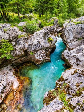 The Great Soča Gorge: Slovenia’s Jaw-Dropping Natural Wonder 🌊✨