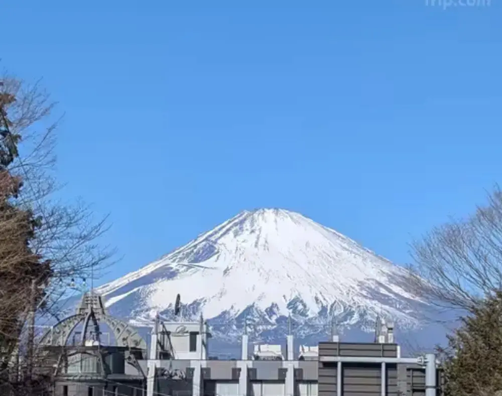 レンブラントプレミアム富士御殿場 宿泊記:富士山ビュー最前線、でも予約前に知っておきたい「現実」
