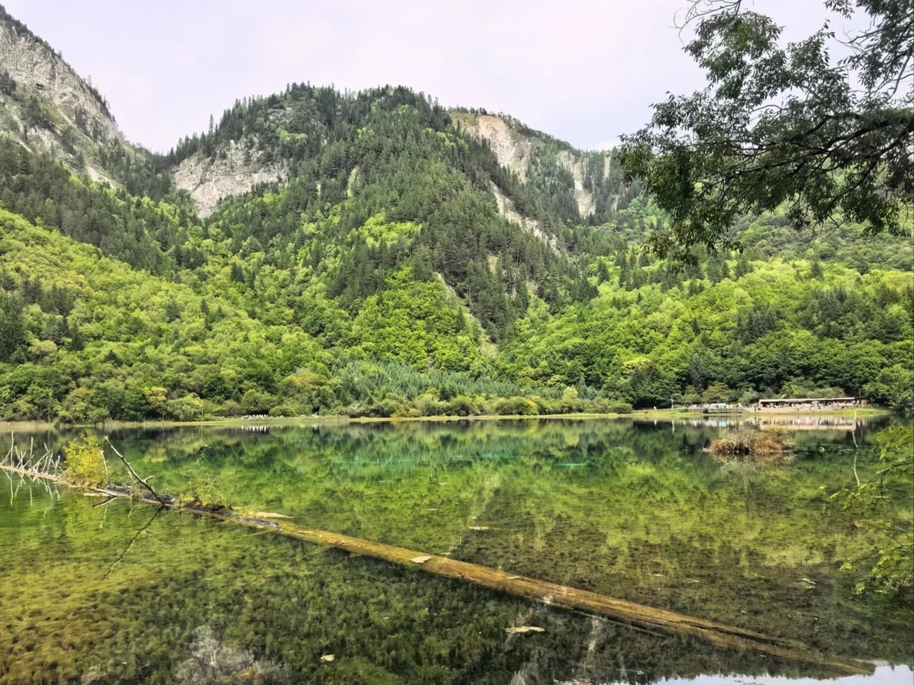 沒有計劃，只是隨心所欲地在九寨溝遊蕩