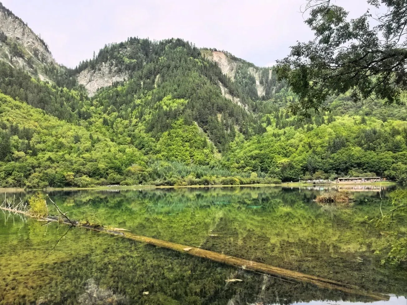 No Plan, Just Following My Feelings in Jiuzhaigou