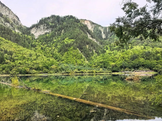 No Plan, Just Following My Feelings in Jiuzhaigou