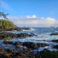Beautiful & Refreshing Tofino!
