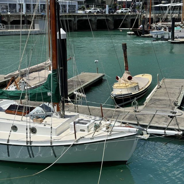 뉴질랜드 해양박물관 New Zealand Maritime Museum