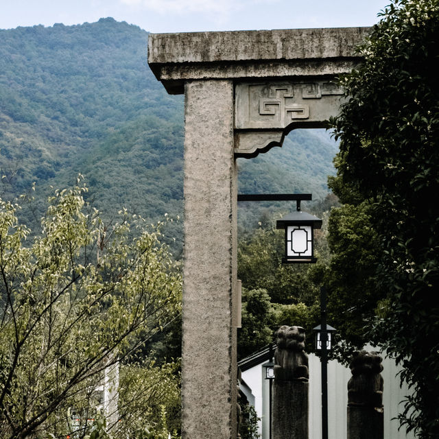 Lost in Longmen 