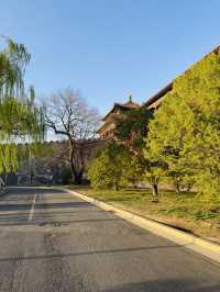 Evening Stroll Around the Palace Museum