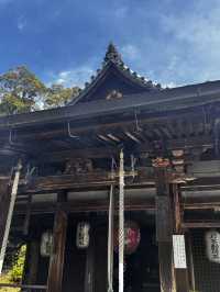 Experiencing the Heart of Japan in Kyoto 