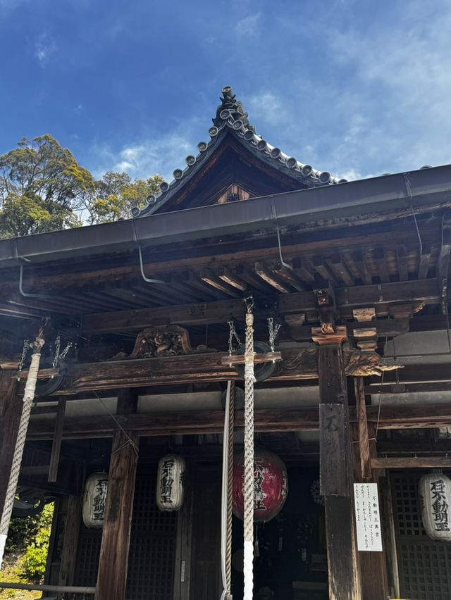 Experiencing the Heart of Japan in Kyoto 