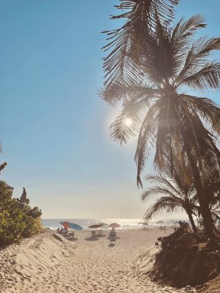 Mexico's Surfer's Paradise