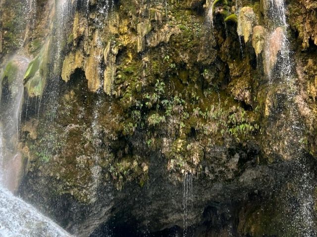  Mexico Adventure