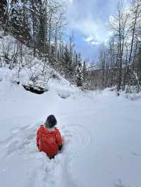 🇨🇦カナダでの冬の過ごし方☃️