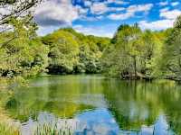 Hill Hook Nature Reserve