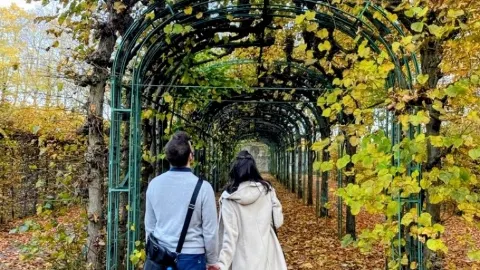 Potsdam: a day trip exploring Sanssouci Park 🇩🇪🏰 — traveler post in Potsdam