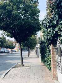 Piacenza Italy 