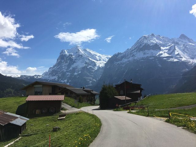 Alpine Adventures in Grindelwald
