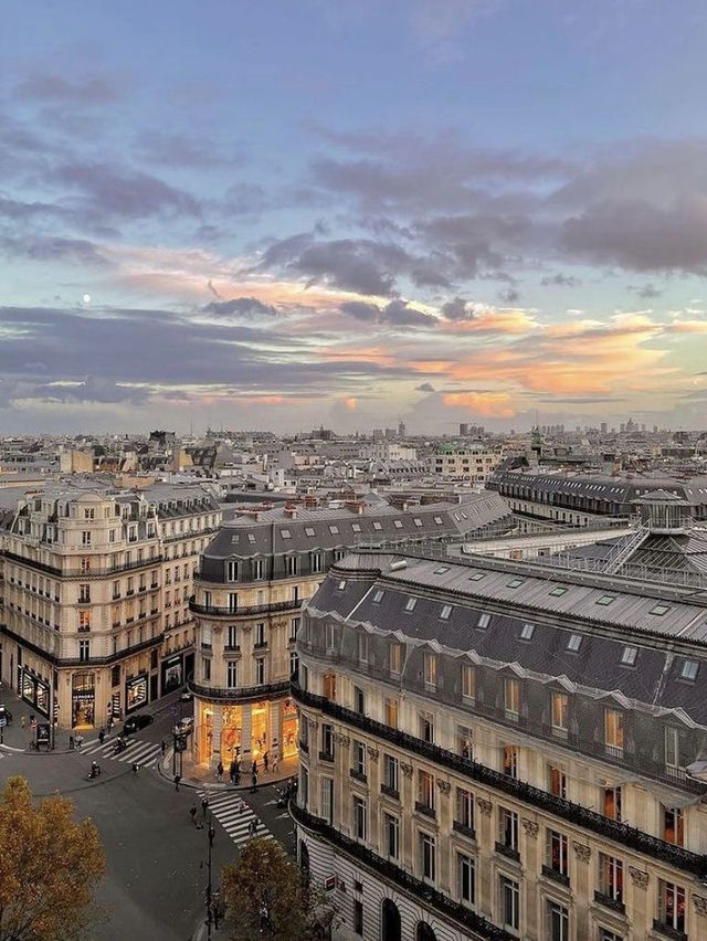 Parisian Elegance: City of Lights🇫🇷🥖