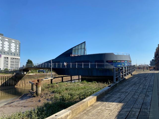 Tranquil Moments by Hull’s River View 🌉🌿