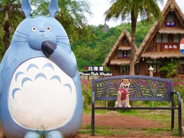 Hokkaido flower park in Thailand 🇹🇭 