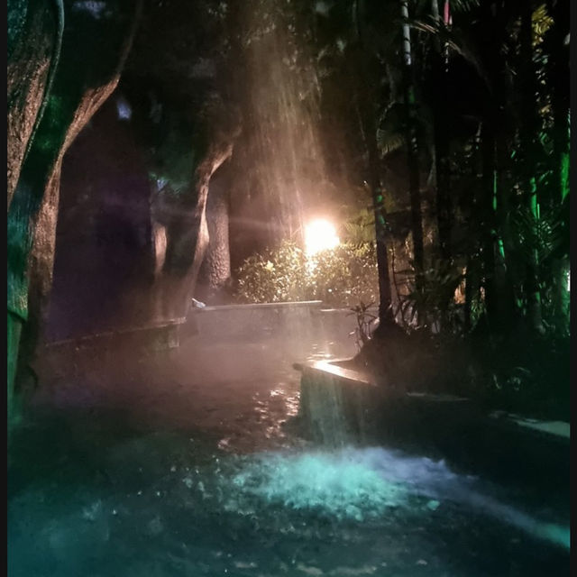 Springs in the jungle 