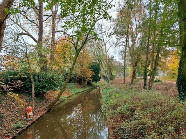 เที่ยวฤดูใบไม้เปลี่ยนสีที่ Den Bosch