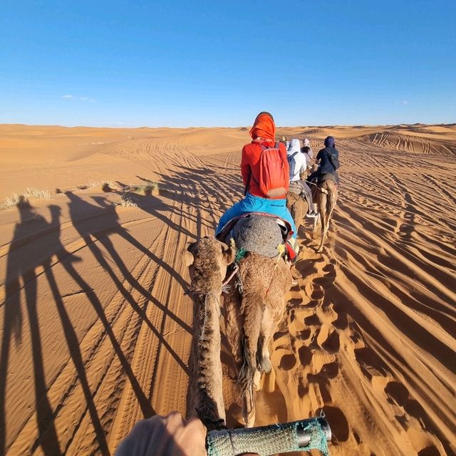 Nice camel ride in Merzouga desert