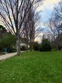 Spring’s Secret Corners