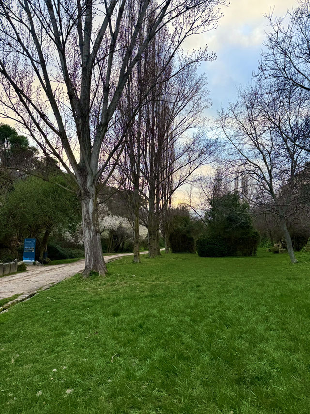 Spring’s Secret Corners