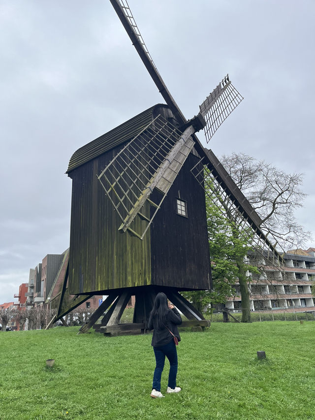 Aarhus Botanical Garden, Denmark