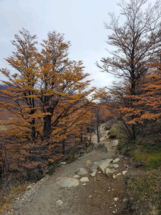 해외여행 엘 찰텐의 아름다운 Sendero madre e Hija con Torre 하이킹 