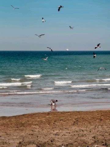 オマーンのスールへの日帰り旅行！