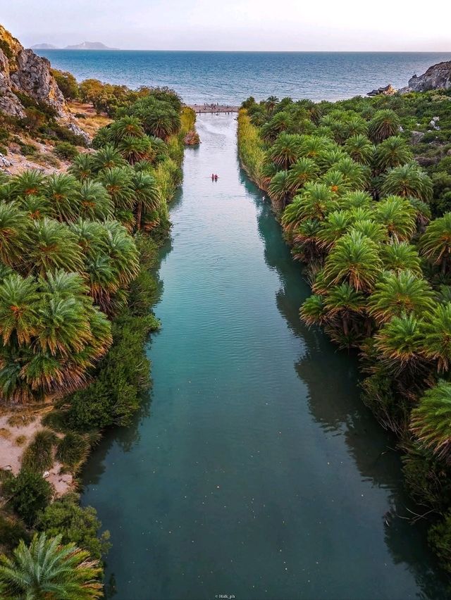 🌴 Preveli Palm Beach: A Unique Oasis Where River Meets Sea 🇬🇷✨