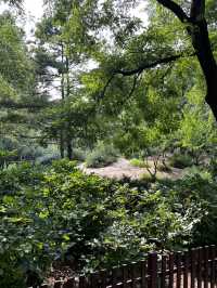Temple of Earth Park