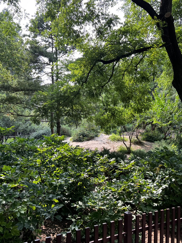 Temple of Earth Park