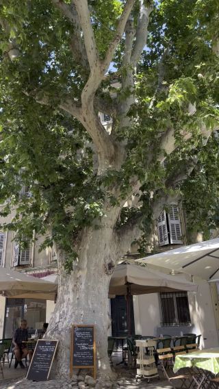France | Enjoy art and installations from Chateau La Coste
