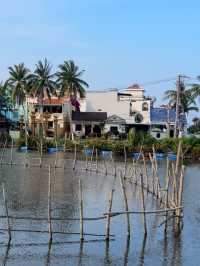 MISS HOI AN CAFE-paradise in the rice fields 
