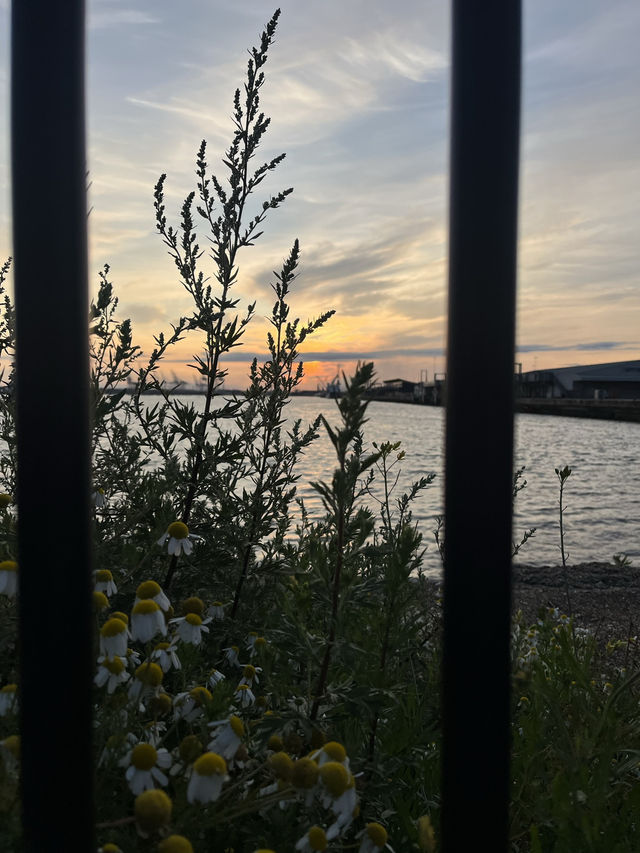 Solent Skies: A Southampton Sunset