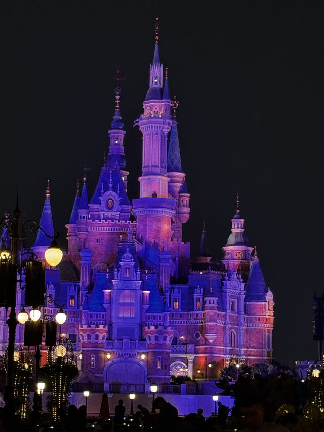 🏰✨ Shanghai Sparkle: Where Magic Kingdom Meets Neon Galaxy!