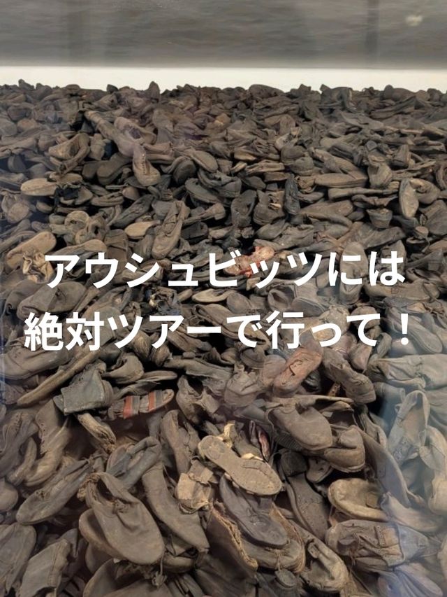 アウシュビッツとビルケナウはツアーで訪れるべき理由